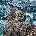 Shetland 265 copia